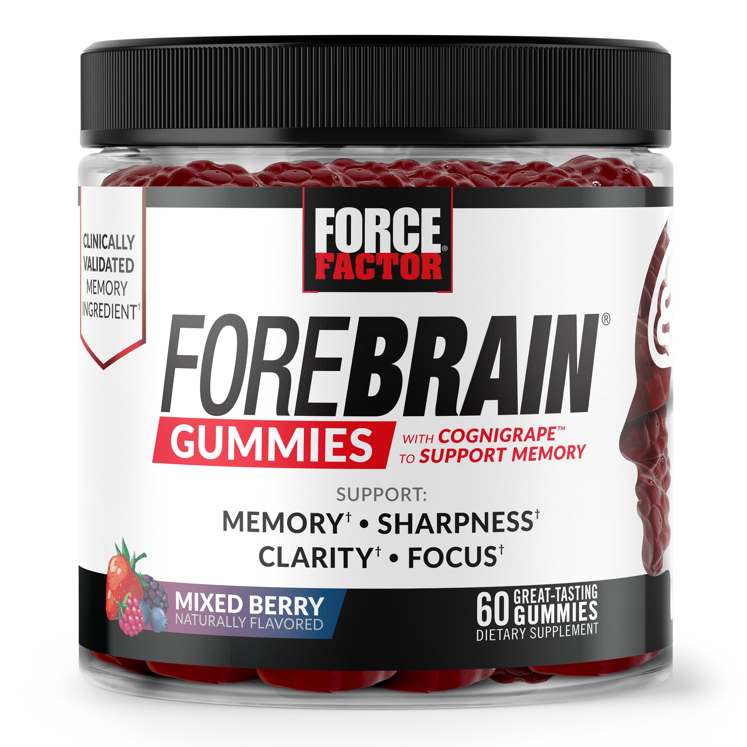 Force Factor Forebrain Gummies Nootropic Brain Support Supplement for Memory and Focus, Brain Vitamin with COGNIGRAPE and Huperzine A, Focus Gummies to Support Recall and Sharpness, 60 Gummies, 60 Count (Pack of 1), Gummies